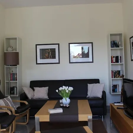 Island Nest Цинновиц