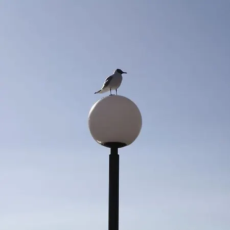 Island Nest Апартаменты *