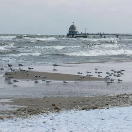 Island Nest Zinnowitz